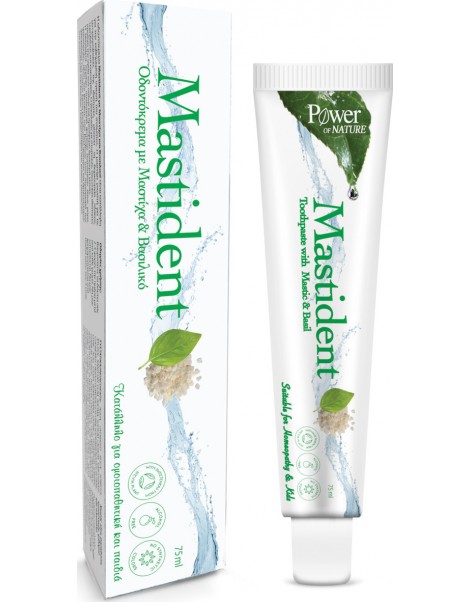 POWER HEALTH MASTIDENT TOOTHPASTE ΜΕ ΜΑΣΤΙΧΑ ΚΑΙ ΒΑΣΙΛΙΚΟ 75ml