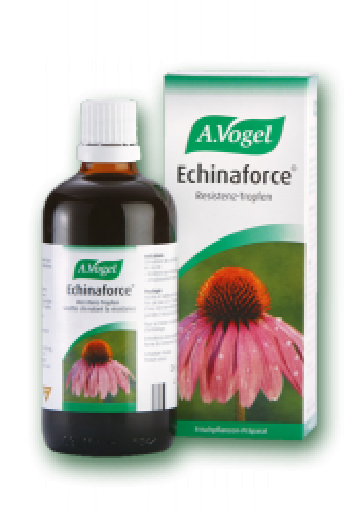 AVOGEL ECHINAFORCE ΒΑΜΜΑ 50ML